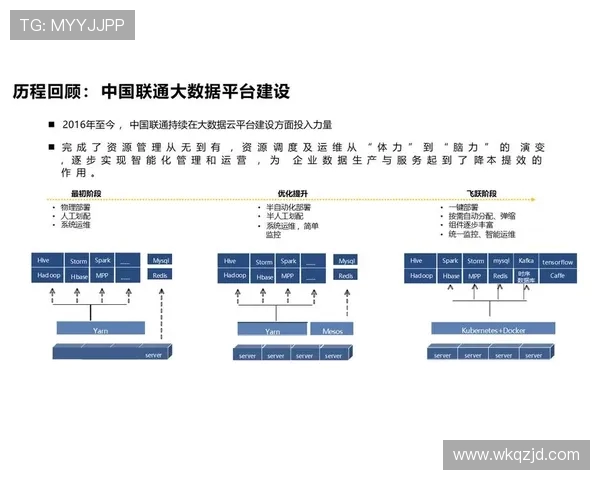 基于ElkADC架构的智能数据分析平台在大数据处理中的应用与优化研究