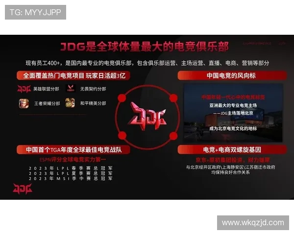JDG战胜WBG成功晋级决赛 展现强大团队协作与个人能力