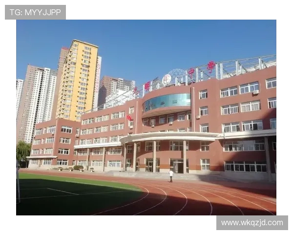 于德豪的奋斗故事与人生哲学探讨：从平凡到卓越的成长之路