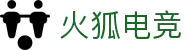 火狐电竞 - 享受电竞激情时刻